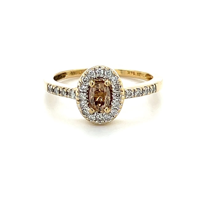14K Yellow Gold Diamond Lady's Fashion Ring; 0.35CTW; 2.3g; Size 6