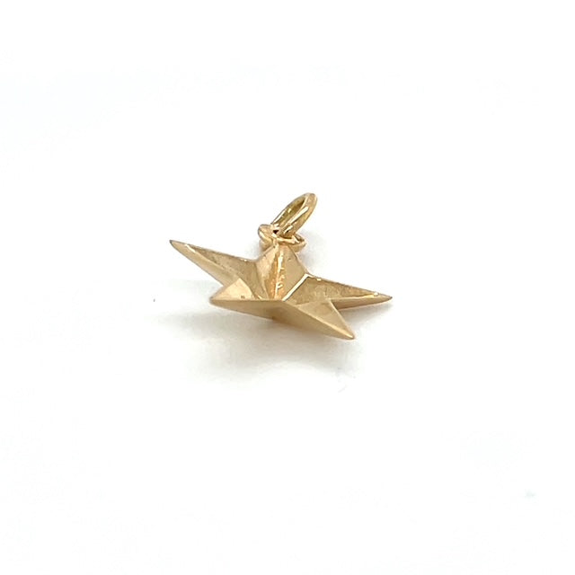 14K Yellow Gold Star Pendant; 0.6DWT