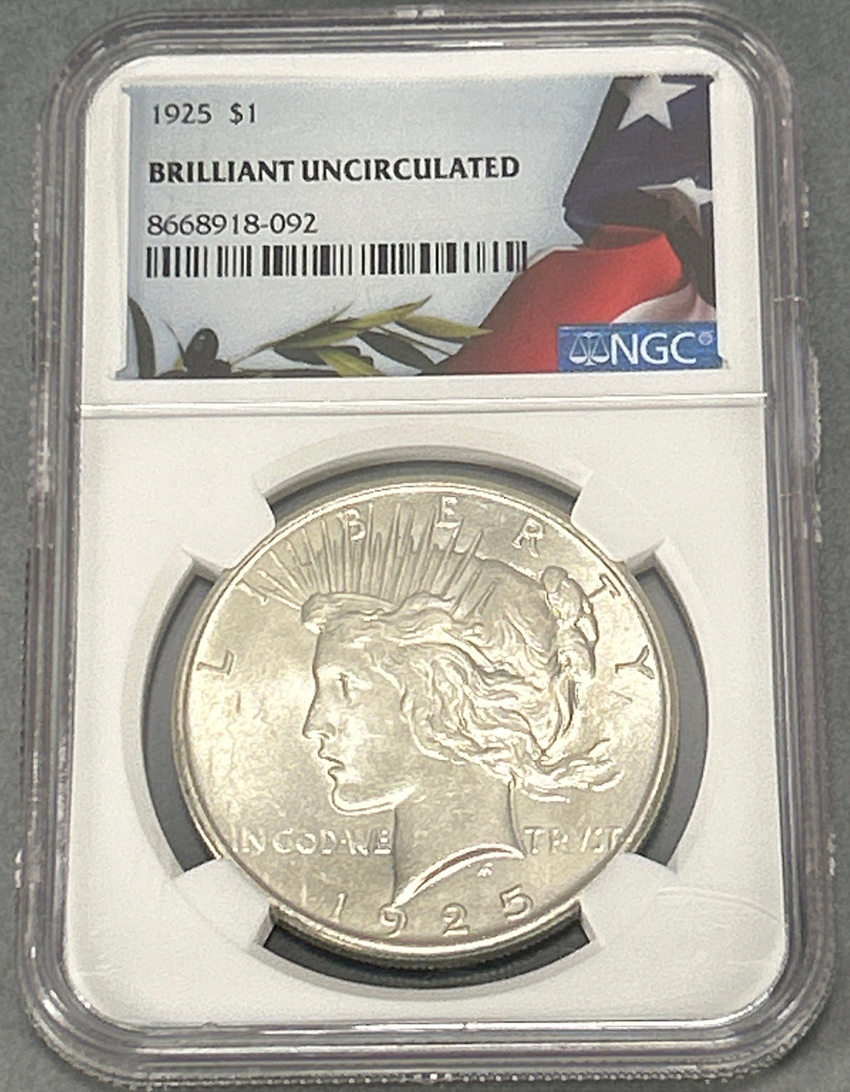 1925 Silver Peace Dollar NGC Brilliant Uncirculated