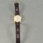 Citizen Eco Drive Corso Gentleman's Watch
