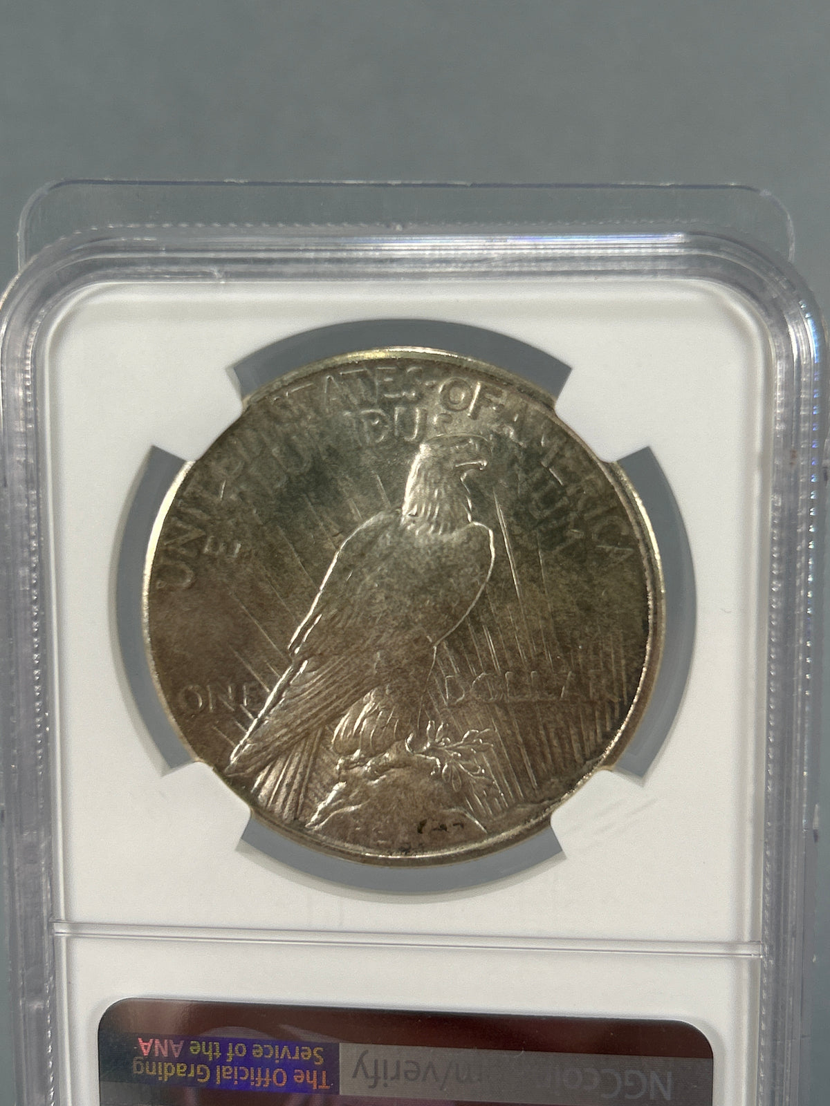 1925 Silver Peace Dollar NGC Brilliant Uncirculated
