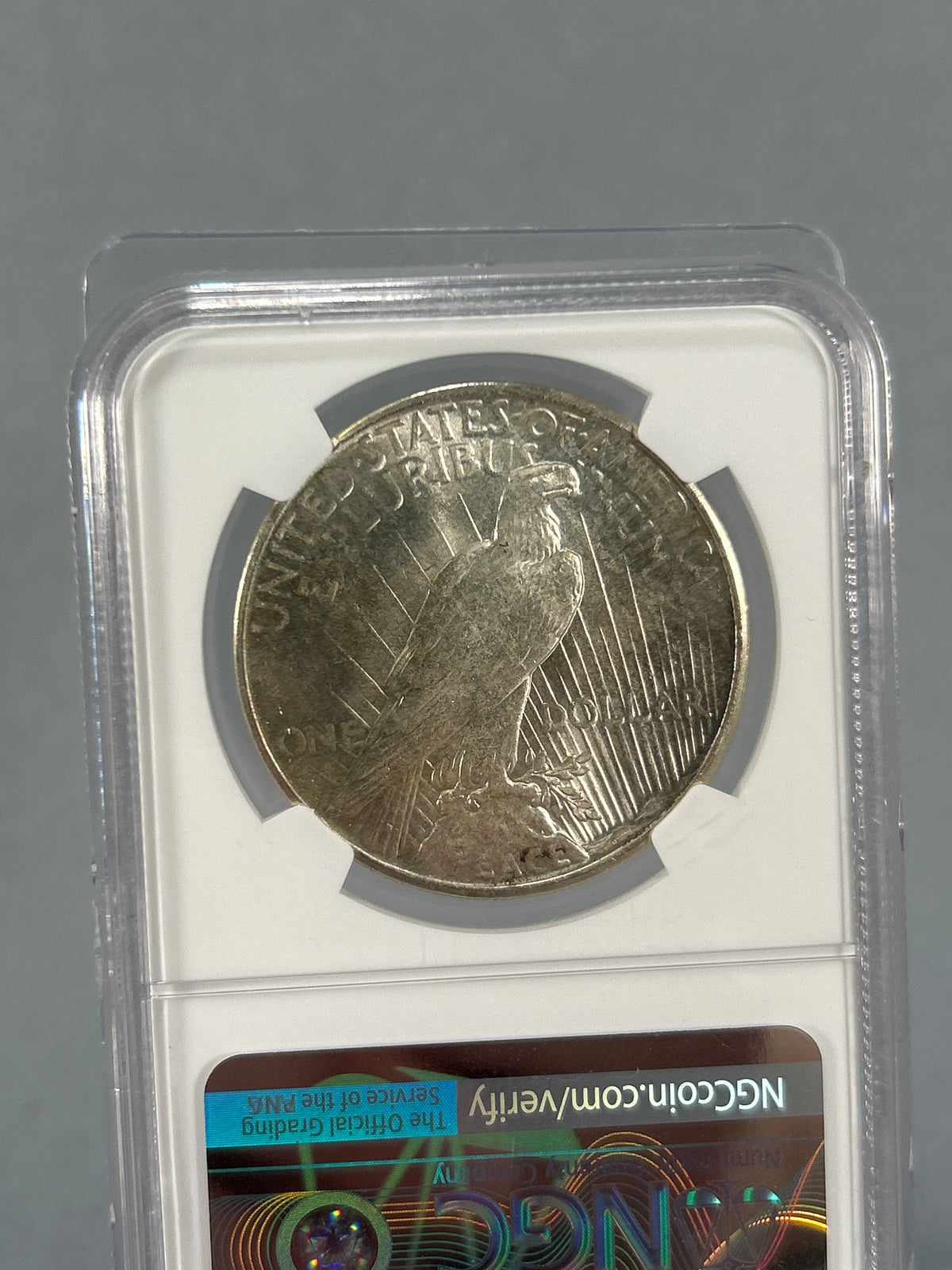 1925 Silver Peace Dollar NGC Brilliant Uncirculated