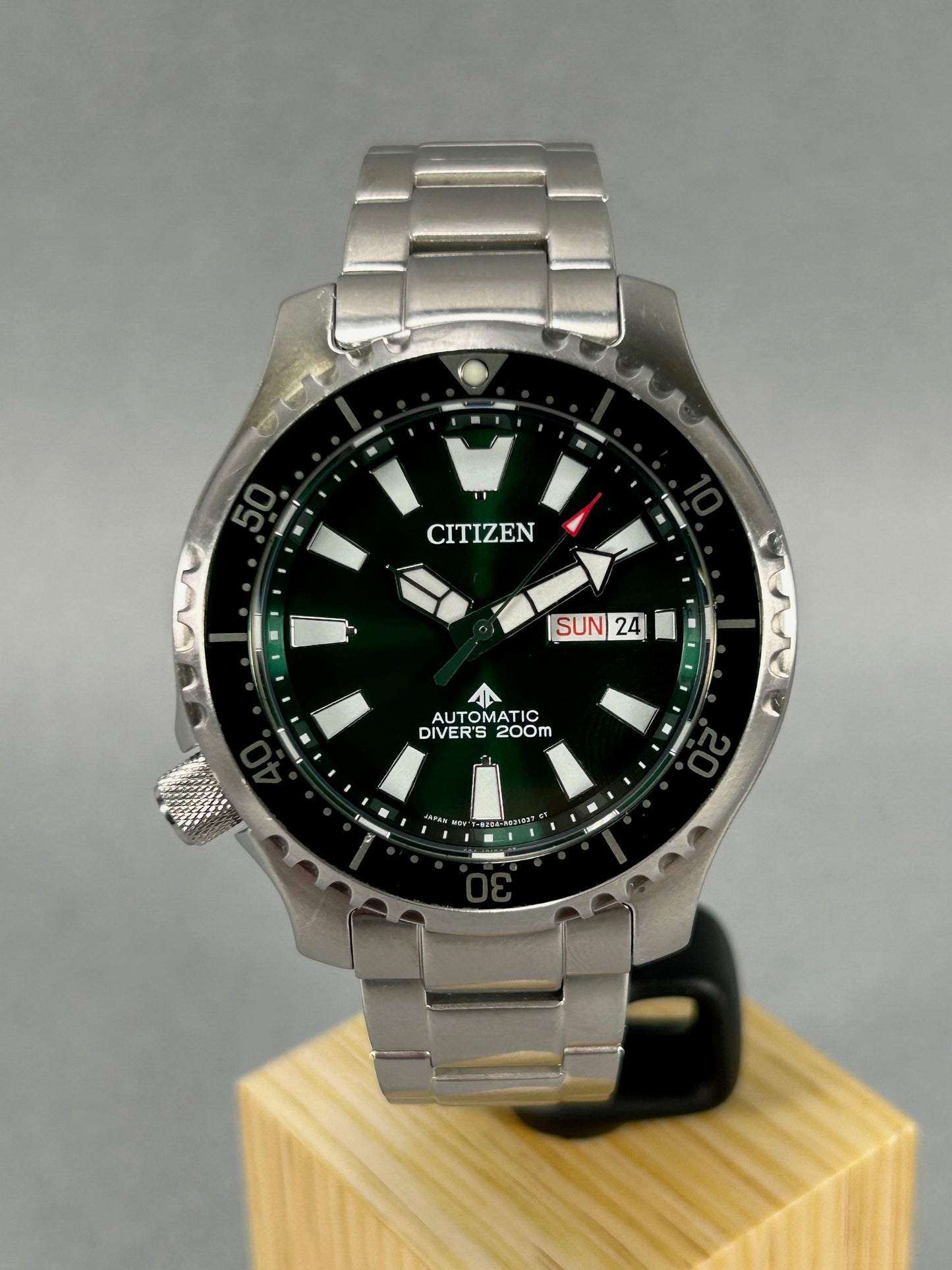 Citizen Automatic Promaster Dive Gentleman's Wristwatch