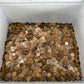 Unsearched Wheat Cents (Random Scoop of 200)