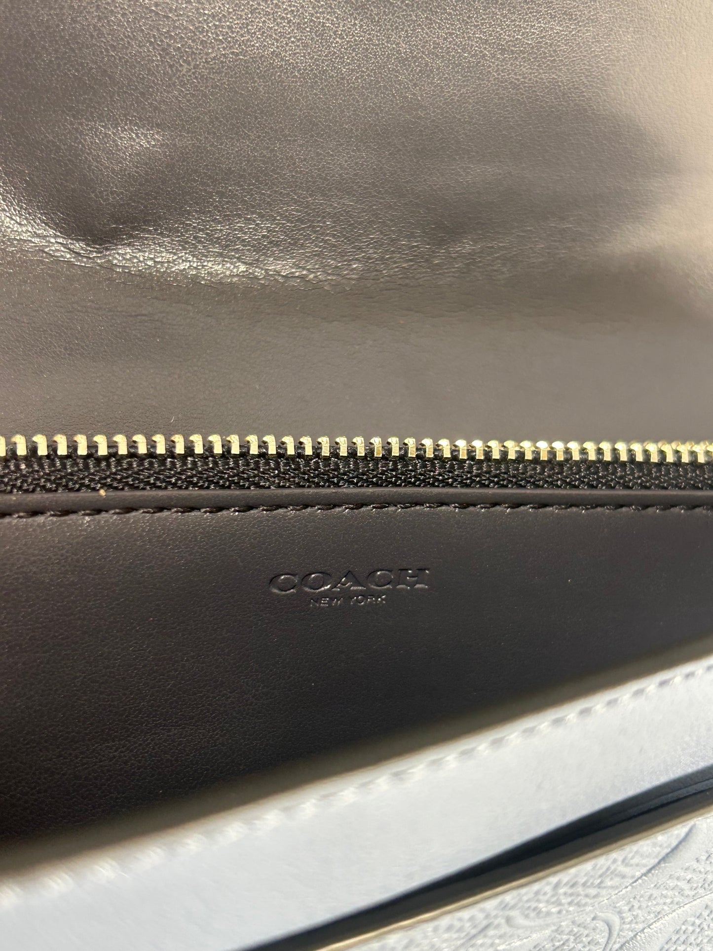 Coach Chain Crossbody Clutch Bag - Blue