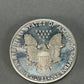 Mystery American Silver Eagle Pull | LIMIT 2 PER DAY