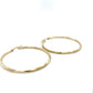 10K Yellow Gold Hoop Earrings; 1.9DWT; 3g