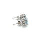 14K White Gold Diamond & Aquamarine Accent Earrings