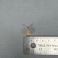 10K Yellow Gold Diamond Square Pendant; 0.10CTW; 1.5g