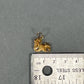 14K Yellow Gold Dog Pendant; 0.9DWT; 1.4g