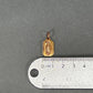 14K Yellow Gold Virgin Mary Pendant; 1.0DWT; 1.6g