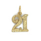 14K Yellow Gold "21" Pendant; 0.4DWT; 0.7g