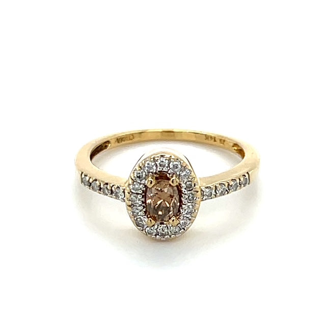 14K Yellow Gold Diamond Lady's Fashion Ring; 0.35CTW; 2.3g; Size 6