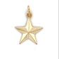 14K Yellow Gold Star Pendant; 0.6DWT