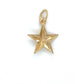 14K Yellow Gold Star Pendant; 0.6DWT