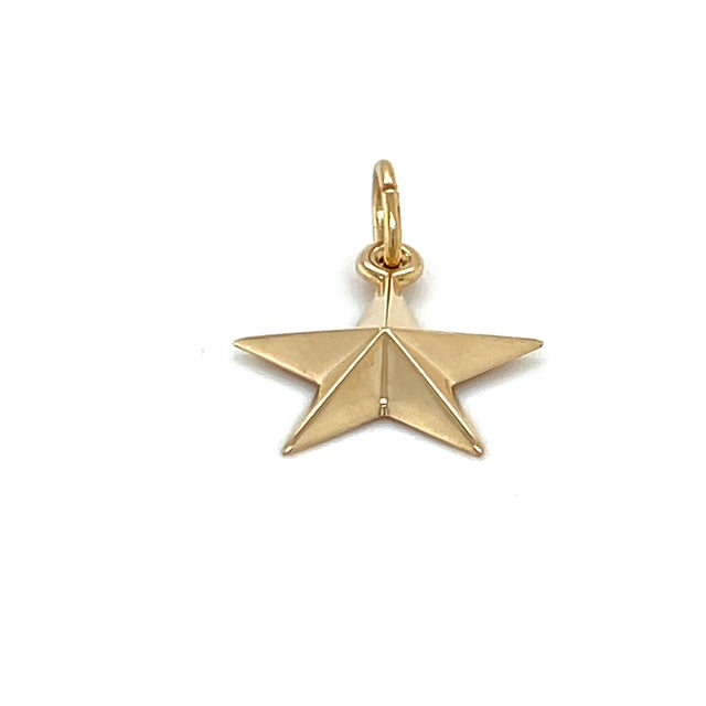 14K Yellow Gold Star Pendant; 0.6DWT