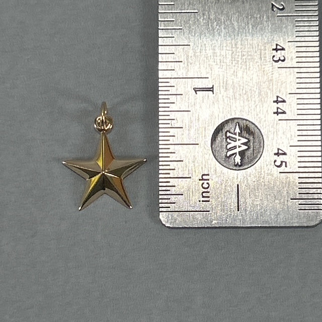 14K Yellow Gold Star Pendant; 0.6DWT
