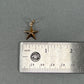14K Yellow Gold Star Pendant; 0.6DWT