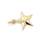 14K Yellow Gold Star Pendant; 0.6DWT