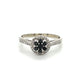 10K White Gold Sapphire Lady's Accent Ring; Size 7
