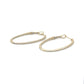 14K Yellow Gold Moissanite Hoop Earrings