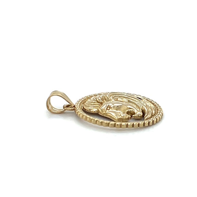 10K Yellow Gold Circular Lion Head Pendant