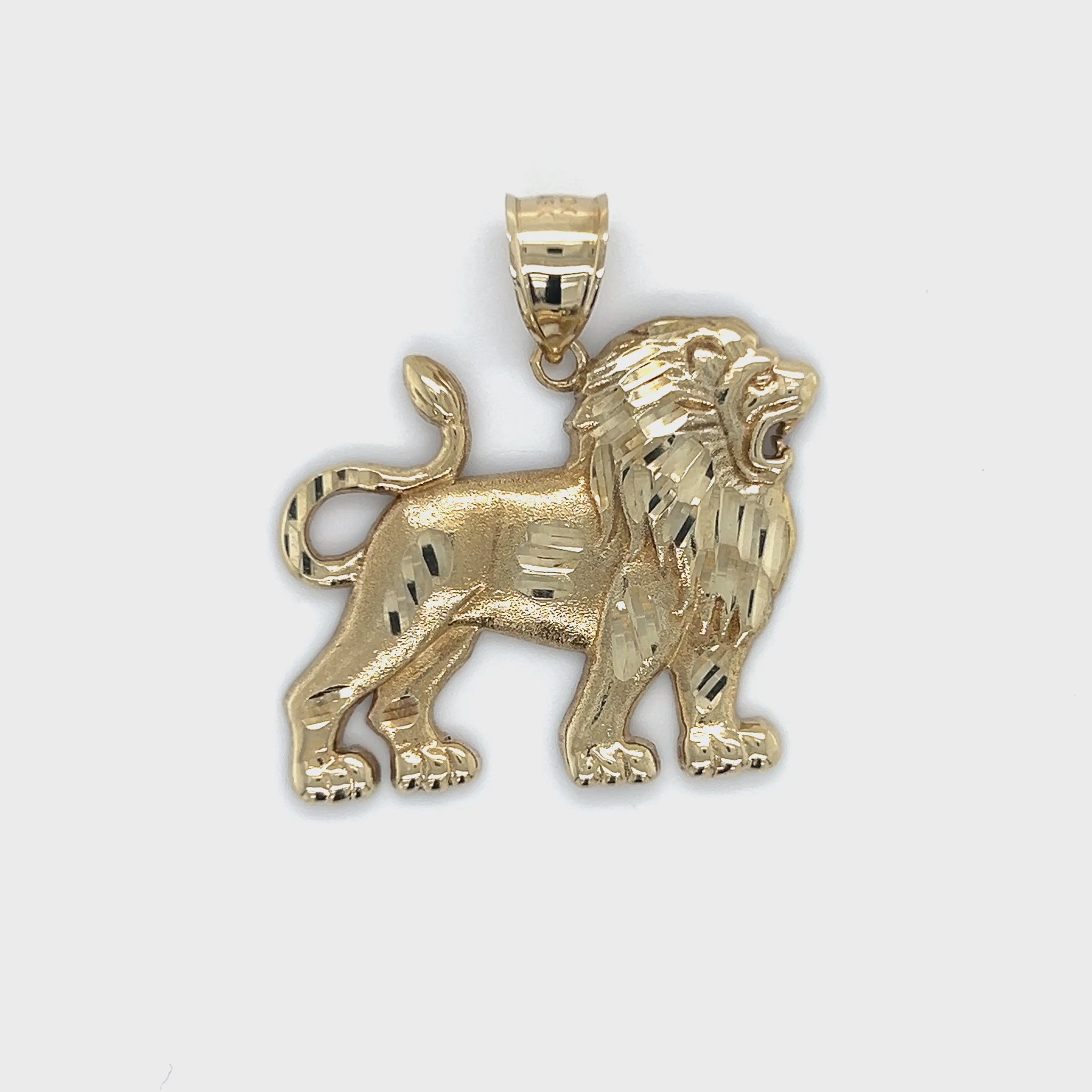 10K Yellow Gold Lion Pendant Video