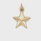 14K Yellow Gold Star Pendant; 0.6DWT