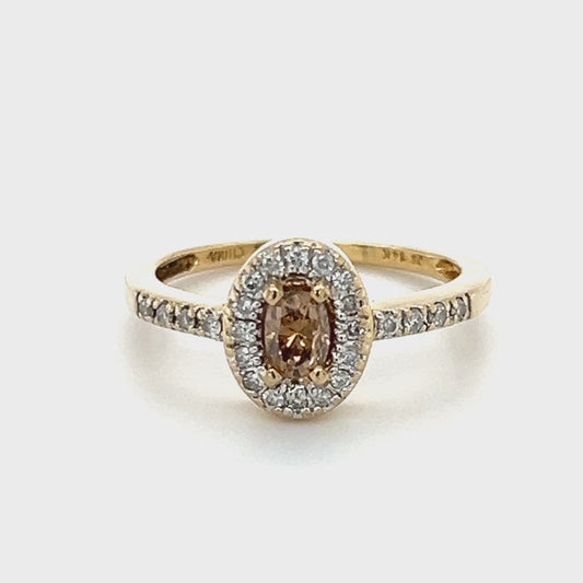 14K Yellow Gold Diamond Lady's Fashion Ring; 0.35CTW; 2.3g; Size 6